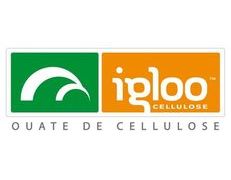 logo IGLOO