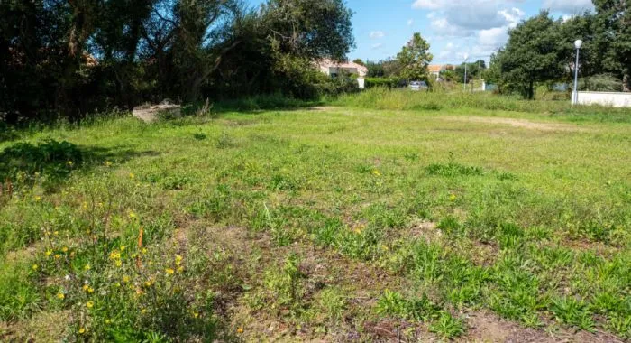 Image d'un terrain à vendre de 380 m² à BRETIGNOLLES-SUR-MER (85)